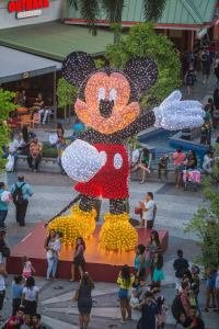 23434962_1257656581047774_4865506919320557918_n